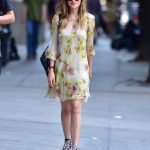 Dakota Johnson a Ny