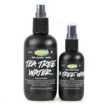 The Body Shop