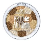 Essence Hello Autumn cipria multicolour