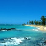 Flora e fauna incontaminate