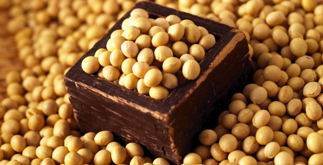 proteine soia