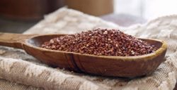 quinoa rossa