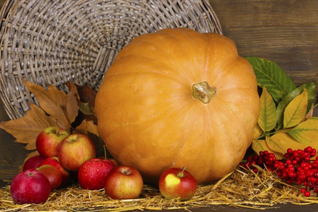 Zucca, l’ortaggio multiuso