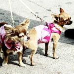 milano fashion week streetstyle