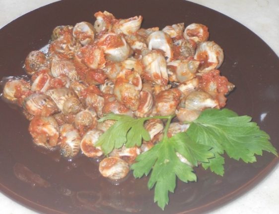 Maruzzelle al pomodoro con dragoncello e origano