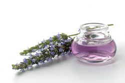 Olio essenziale di lavanda