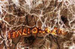 Ragnatela Halloween