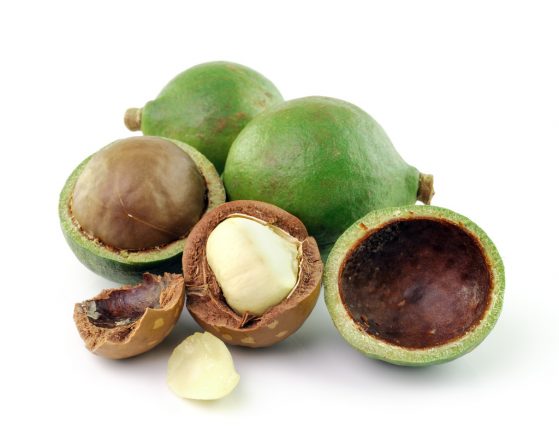 Olio di Macadamia: usi e proprietà