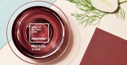 Marsala: colore dell'anno 2015 Pantone