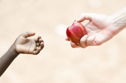 Medici senza Frontiere