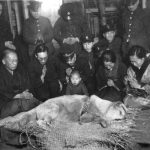 Morte di Hachiko