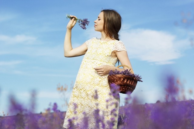 erbe e sostanze naturali no in gravidanza