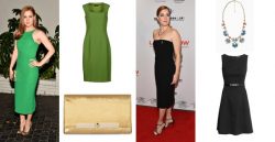Amy Adams look