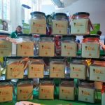 Preparati per produrre un gelato light e senza latte