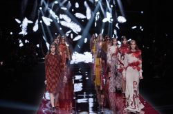 Just Cavalli