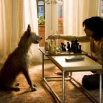 La casa sul lago del tempo Sandra Bullock