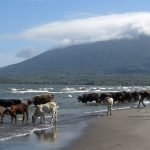 isola ometepe nicaragua
