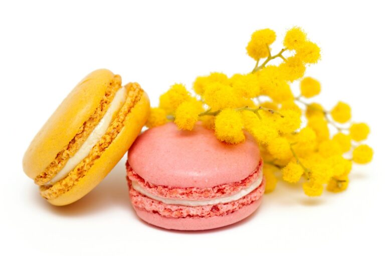 Macarons della Festa della Donna