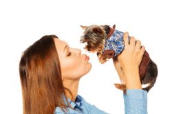bacio cane