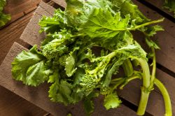 cime di rapa