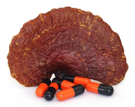 Fungo Reishi: proprietà, benefici e controindicazioni