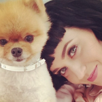 katy perry cane