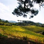 Veduta Val di Magra