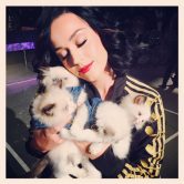 Katy Perry