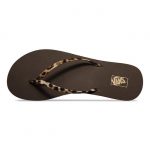 Vans Collection 2015