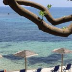 Per 21 giorni vivranno senza potersi vedere o chiamare in compagnia di 24 single all’interno di un lussuoso relais nel sud della Sardegna