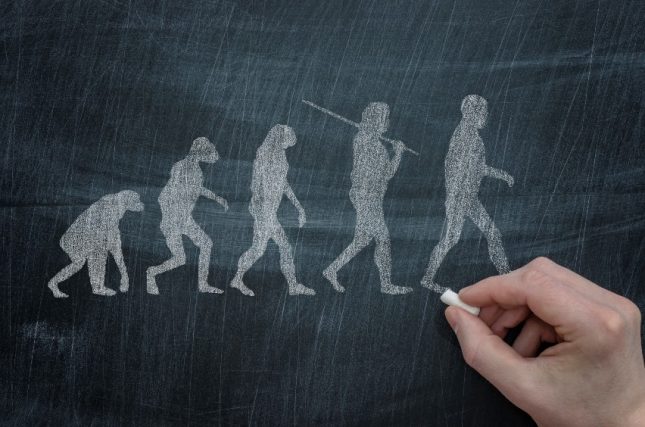 Homo Naledi: la straordinaria scoperta che riscrive la storia