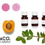 Tra le novità NIYO&CO. in arrivo abbiamo la matita per sopracciglia in tre colorazioni, l'eyeliner nero Tratto Perfetto, la matita color burro e diversi trattamenti per i capelli.