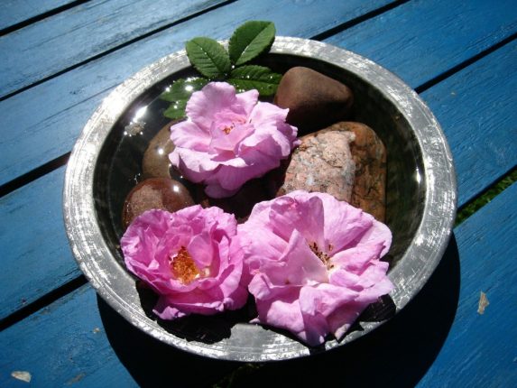 onico viso fai da te: l'acqua di rose