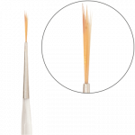 - Alessandro International