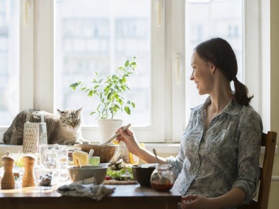 Casa a prova di micio: abitare insieme a un gatto