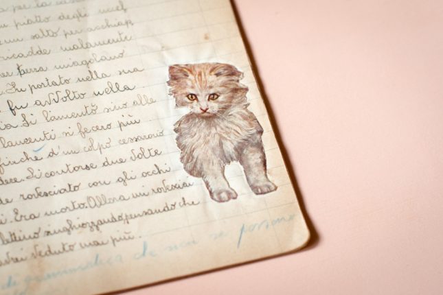 Quadernini: 100 anni di quaderni di scuola in mostra
