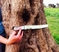 Mommy Measure, acquistalo su mammazazi.it