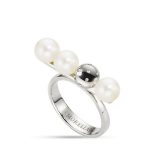 anello linea Lunae