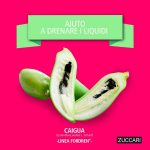 Caratteristica della Caigua, ingrediente presente nella linea Fordren di Zuccari: favorisce il metabolismo dei carboidrati, del colesterolo e aiuta a drenare i liquidi.
