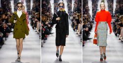 Dior FW 2016-2017