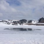 Un centro per lo sleddog a Passo Coe (Folgaria)