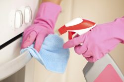 diy degreaser with marsiglia