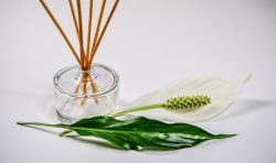 Ecologico e semplice da realizzare: il profumo per ambienti fai da te è l'ideale per aromatizzare la casa.