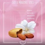 Proprietà Olio Mandorle Dolci