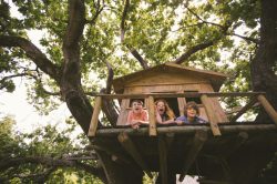 Casa sull'albero