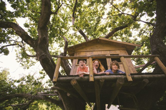 Casa sull'albero
