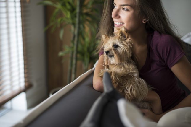 Rapporto uomo e animali domestici