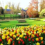 Floralia a Brussels