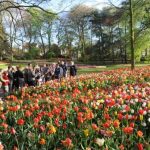 Floralia a Brussels