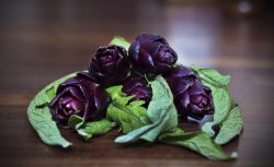 Carciofo violetto